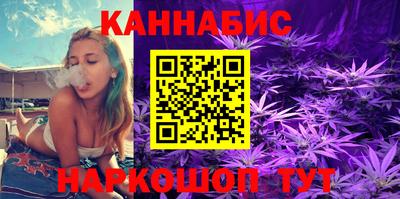 стафф Гусев