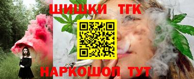 индика Можга