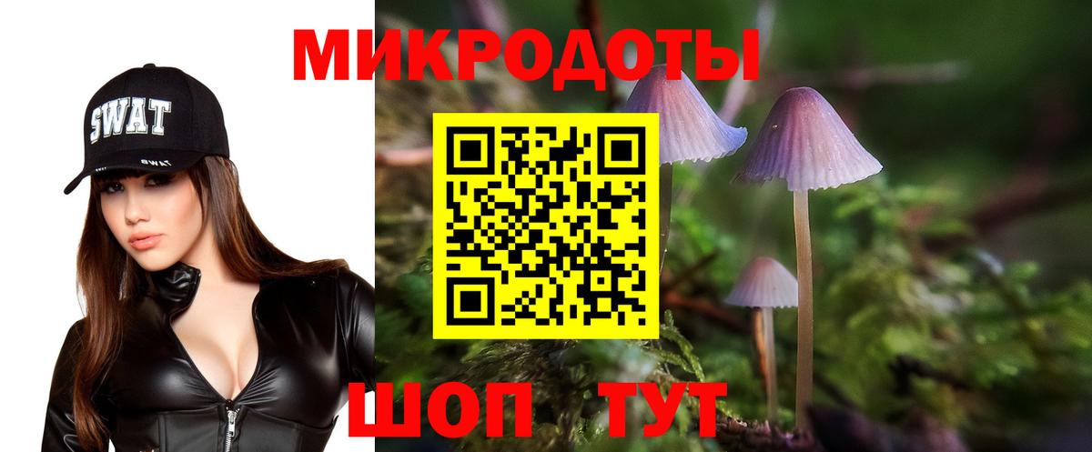 Псилоцибиновые грибы Psilocybine cubensis Мегион